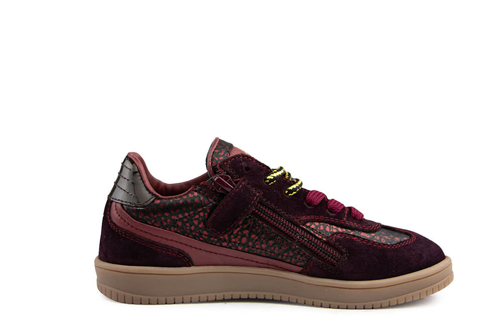 Hip Sneaker Bordo Combi