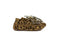 Hip Veter Franje Naturel Leopard Combi