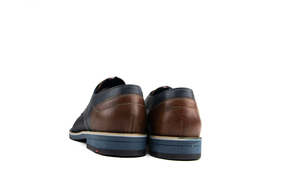 Lloyd Veter Harris Midnight D.Brown