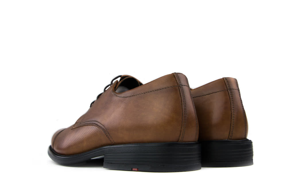 Lloyd Veter Karel Kenia Cognac