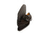 Magnanni Gesp Crostidifu Brown Marron