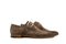 Magnanni Gesp Crostidifu Schore
