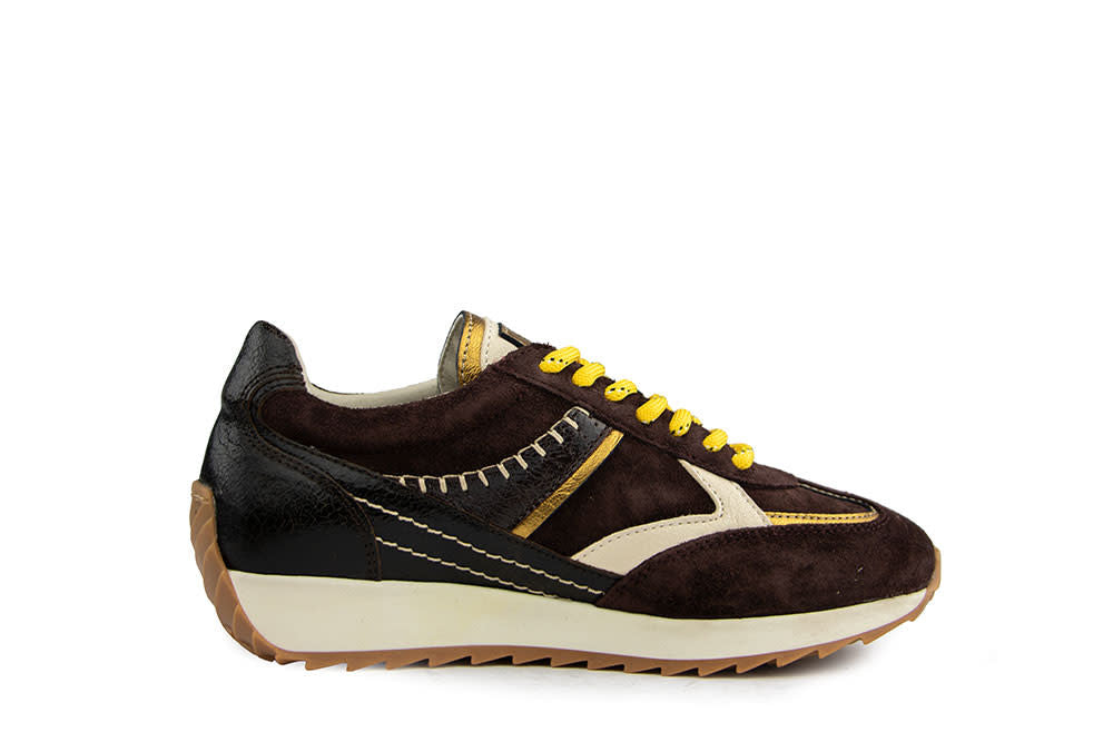 Piedi Nudi Sneaker Harlem Dark Brown