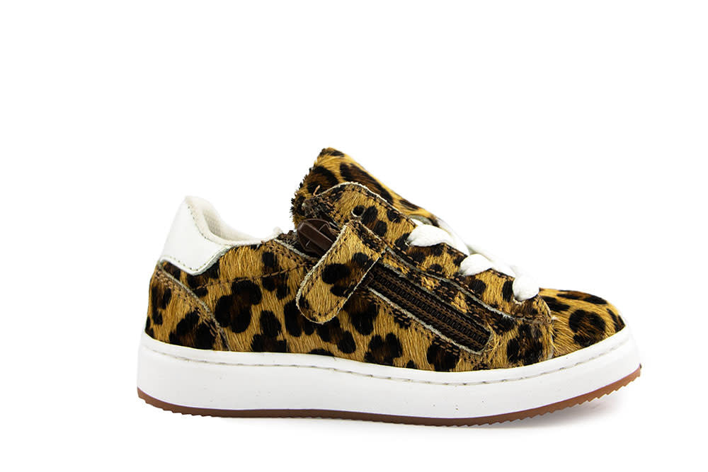 Pinocchio Sneaker Naturel Leopard Print