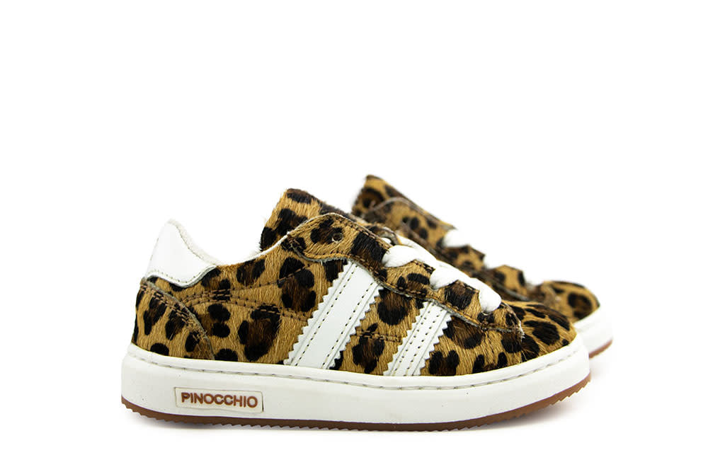 Pinocchio Sneaker Naturel Leopard Print