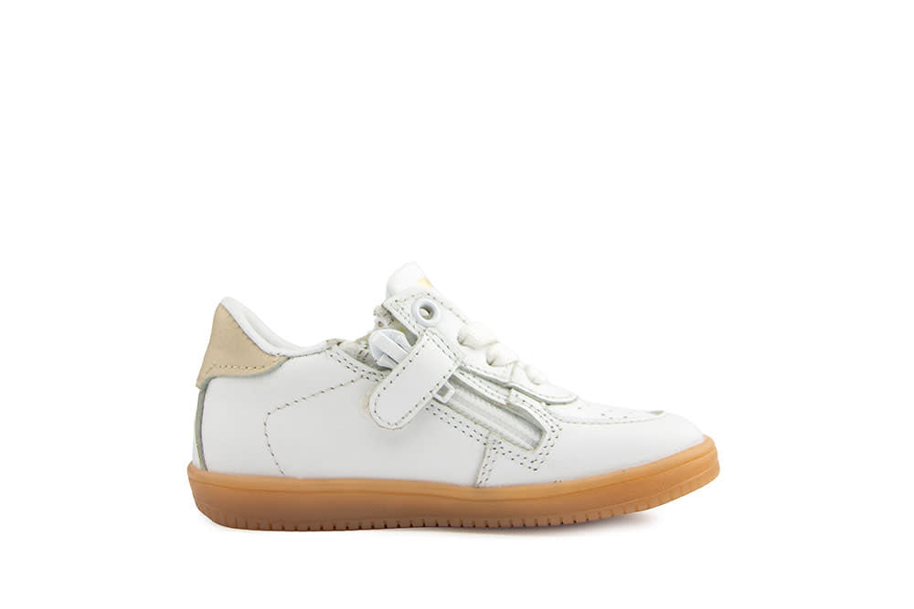 Pinocchio Sneaker White Gold Combi