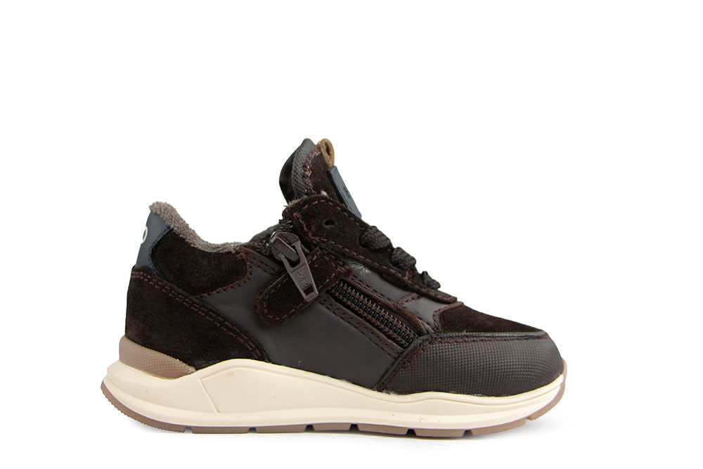 Pinocchio Sneaker Dark Brown Combi
