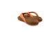 Reef Cushion Melody Canyon Sunset Lion