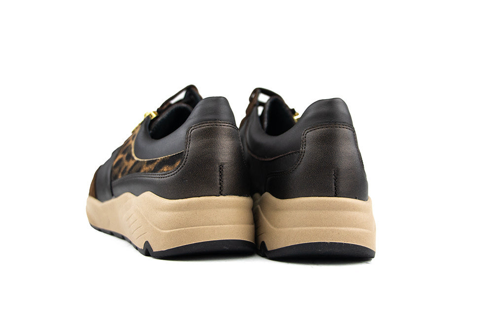 Solidus Sneaker Mia Fellini Hilton Zibetto