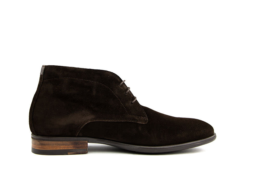 Van Bommel Terra 01.00 Darkbrown