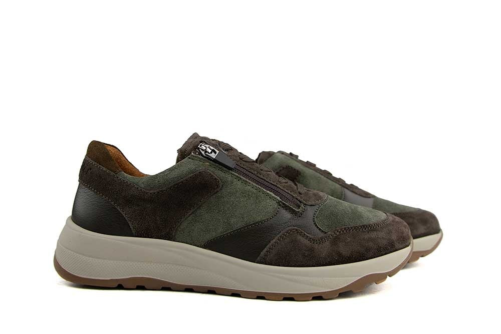 Waldlaufer John D.Brown Moos Oliv K