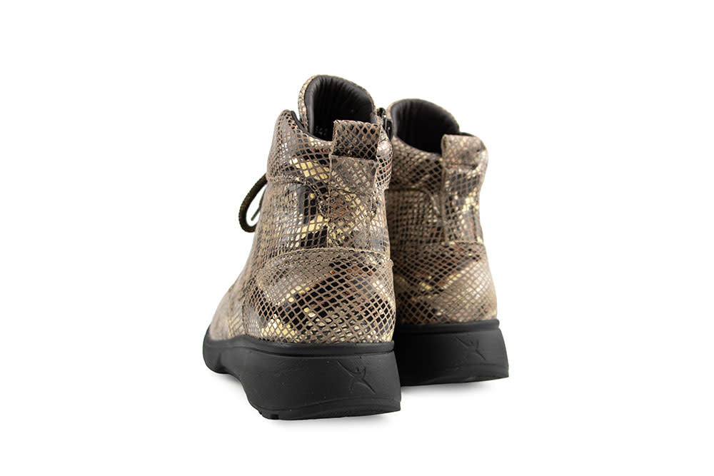 Xsensible Romagna H Camel Fantasy