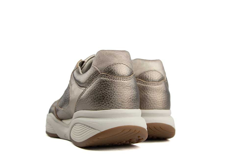 Xsensible SWX27 H Champagne