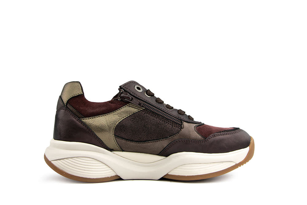 Xsensible SWX27 HX Burgundy Combi