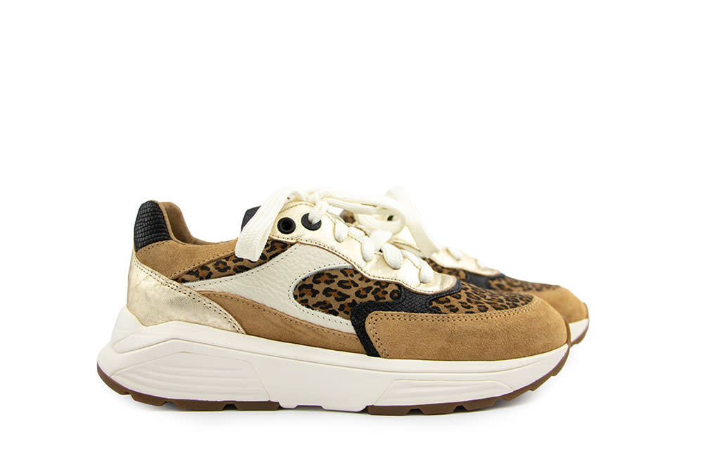 Xsensible Ponte Vecchio G Camel Combi