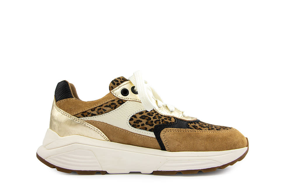 Xsensible Ponte Vecchio G Camel Combi