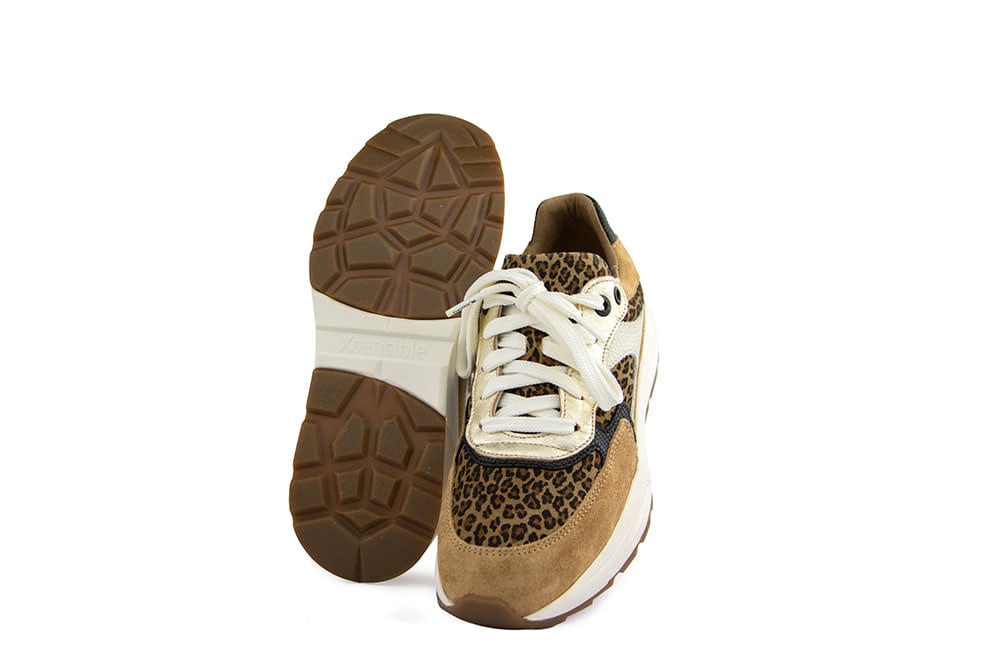 Xsensible Ponte Vecchio G Camel Combi