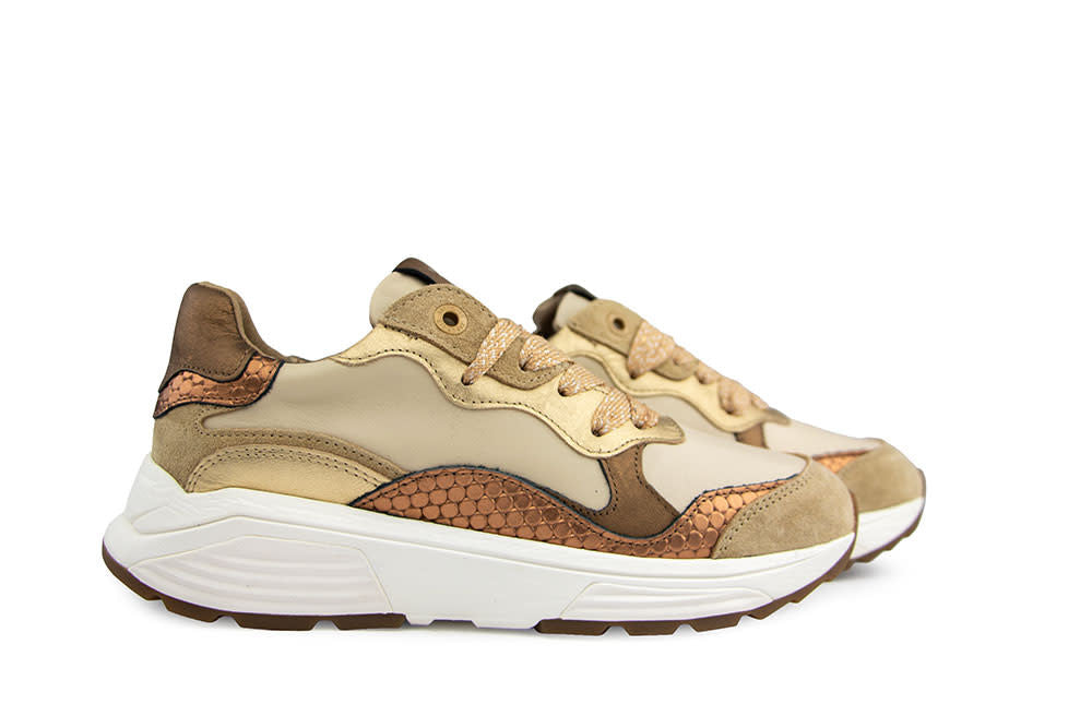 Xsensible Rainbow GX Camel Combi