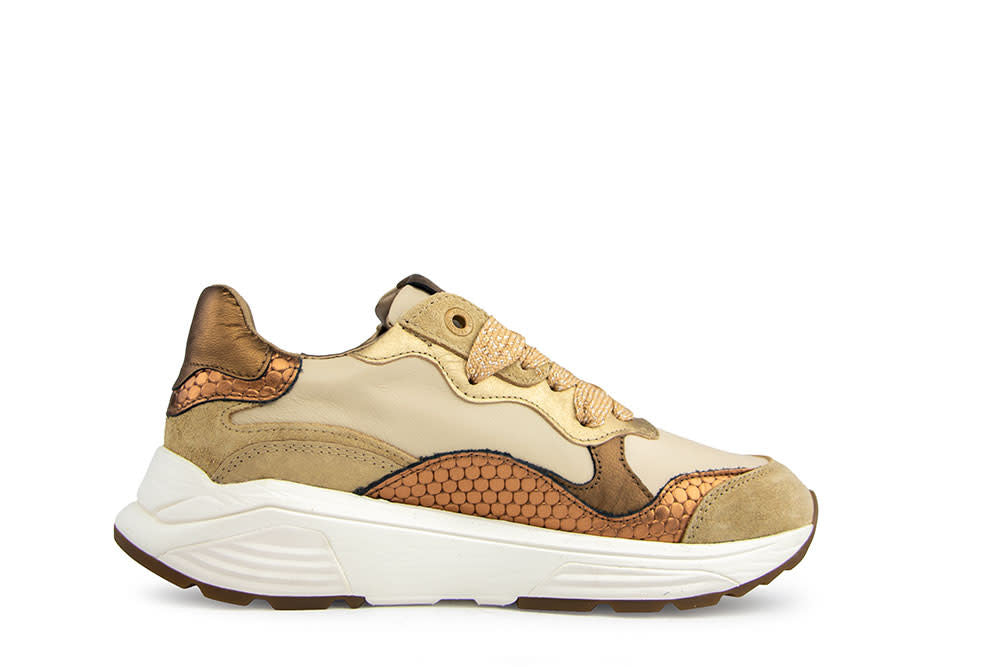 Xsensible Rainbow GX Camel Combi