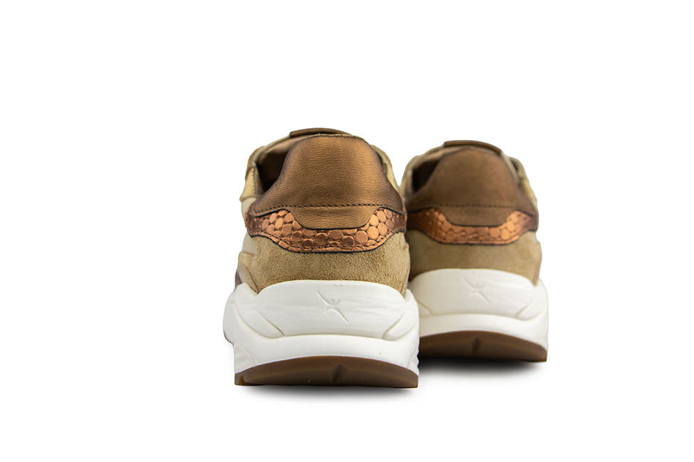 Xsensible Rainbow GX Camel Combi