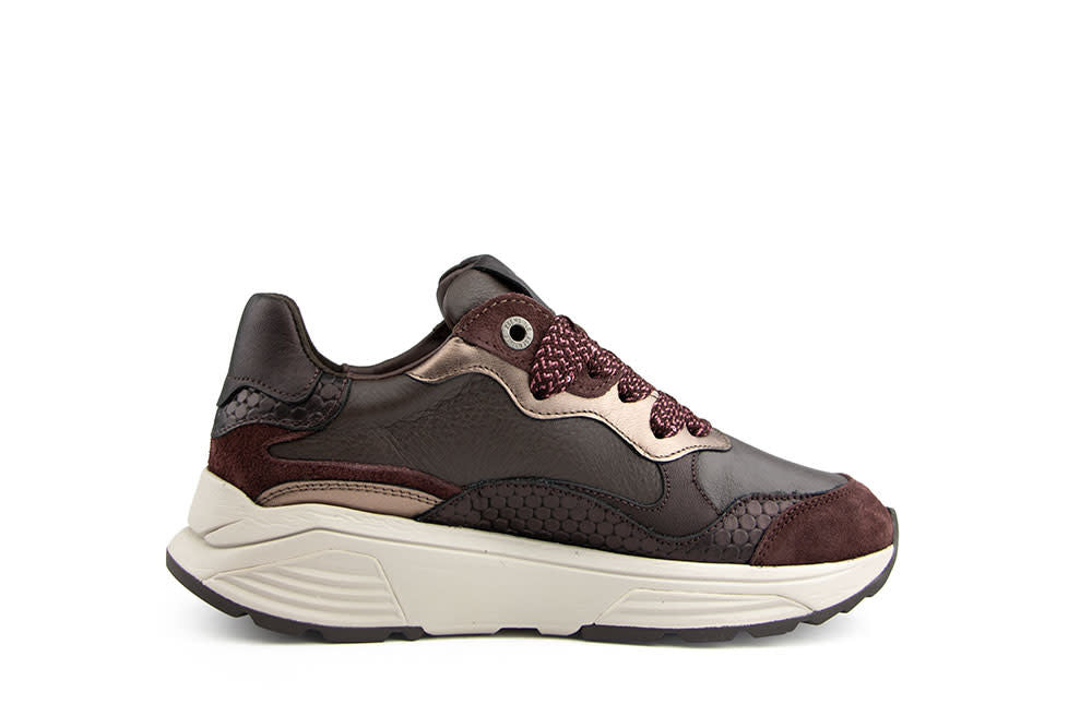 Xsensible Rainbow GX Bordeaux Combi