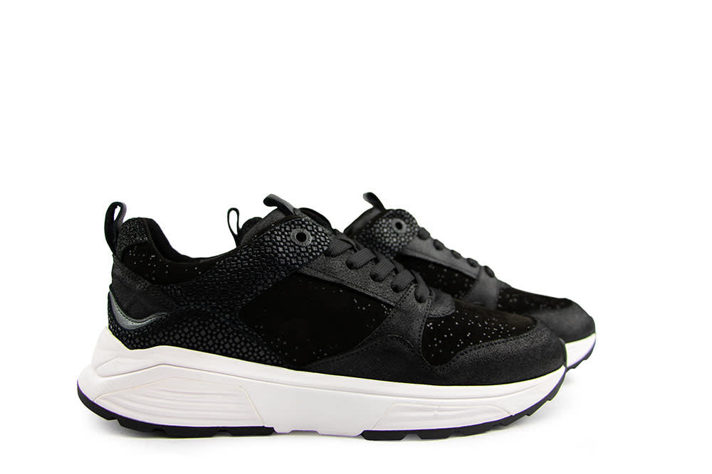 Xsensible Newport GX Black Fantasy