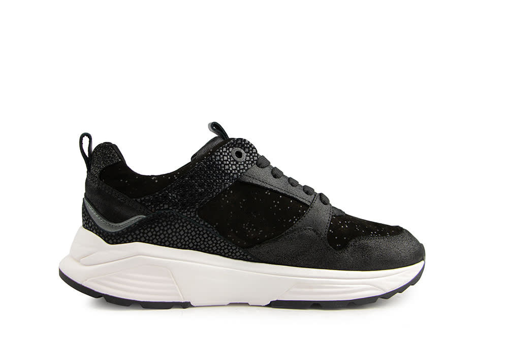 Xsensible Newport GX Black Fantasy