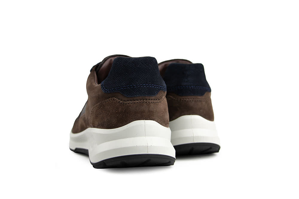 Xsensible Hudson HX Dark Brown Combi